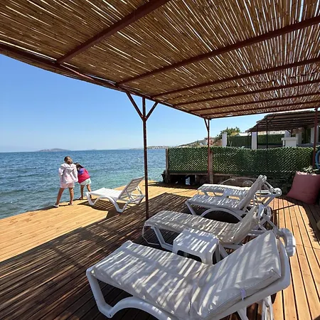 Esin Cunda