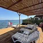Esin Cunda