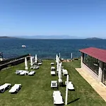 Esin Cunda Ayvalı